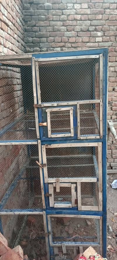 love birds cage for sale