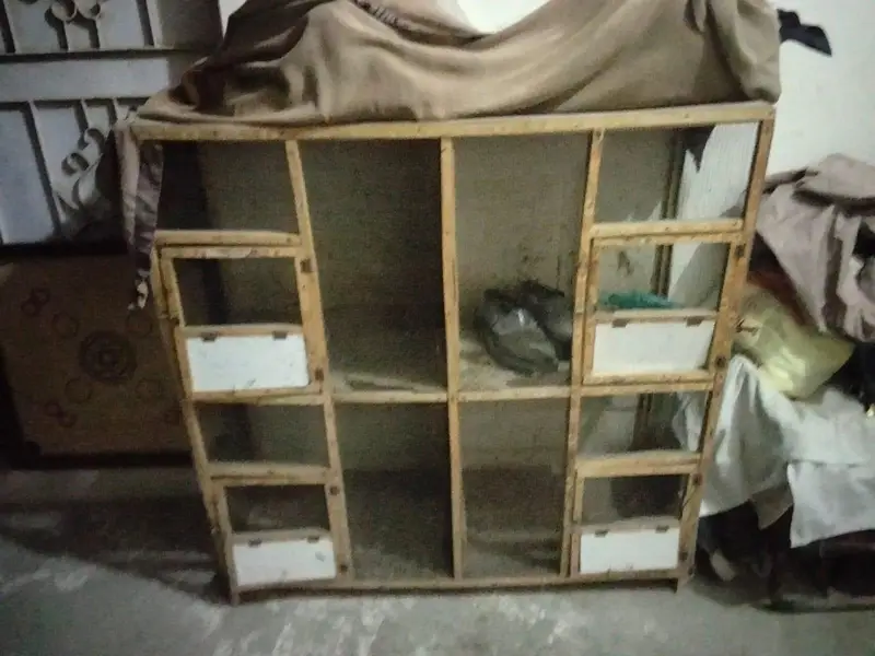hen Cage best for hens and peiogens — photo 3
