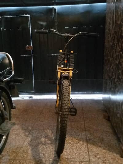 bicycle phoenix