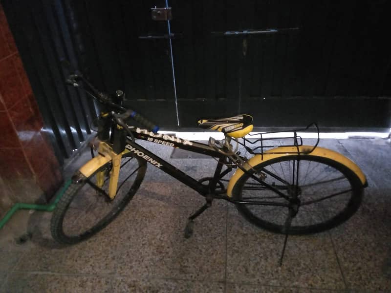 bicycle phoenix 1