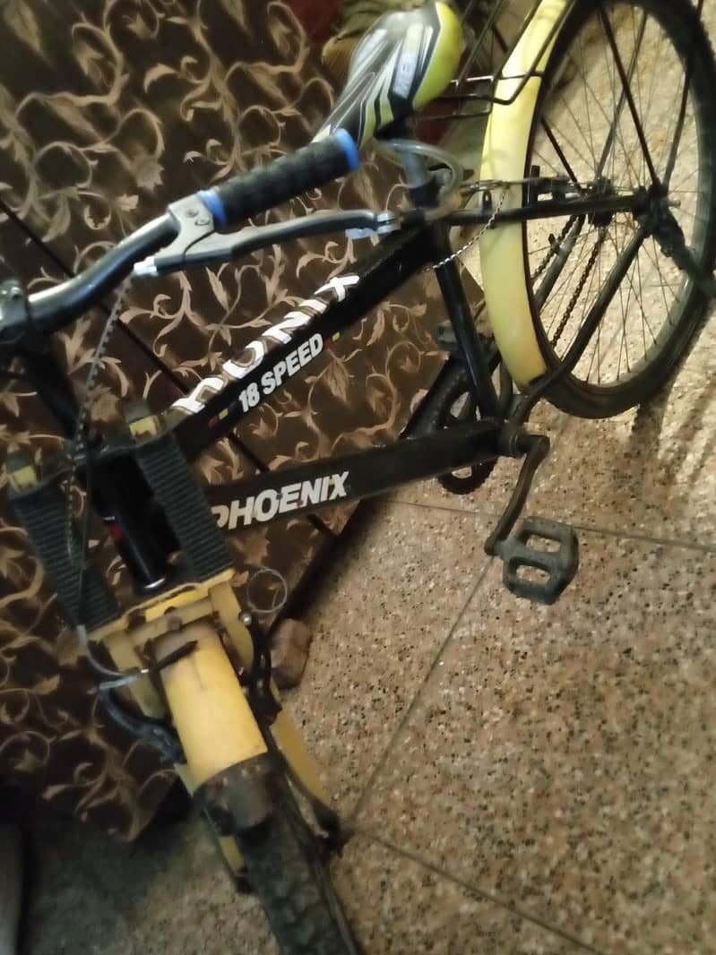 bicycle phoenix 3