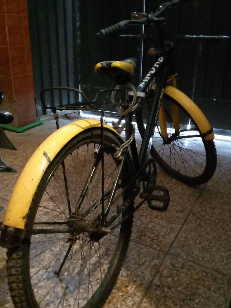 bicycle phoenix 5