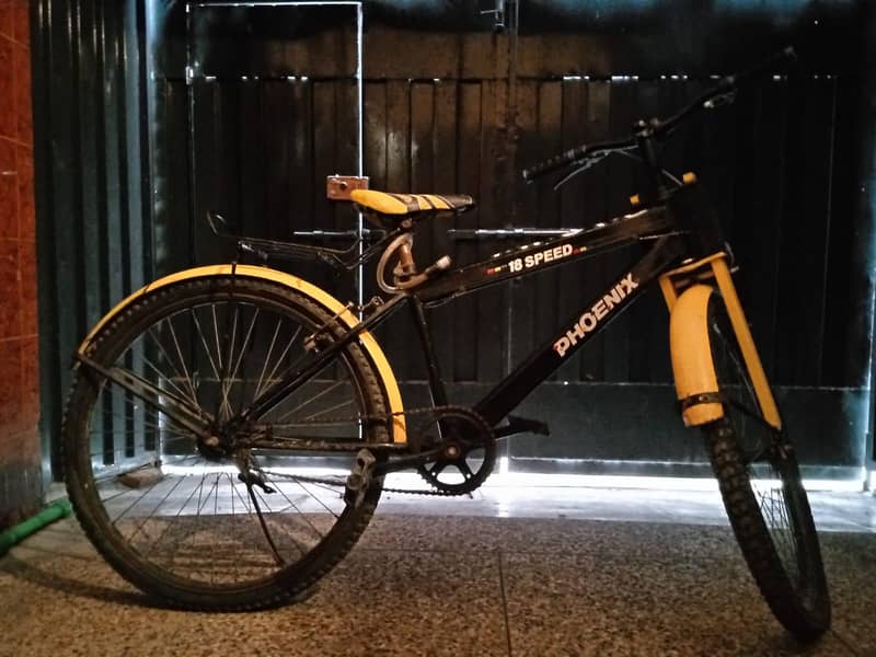 bicycle phoenix 6