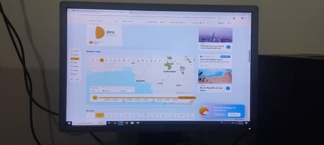 HP Computer LED 24"
