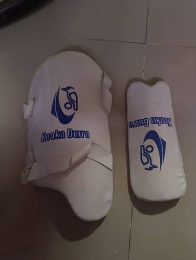 Cricket item