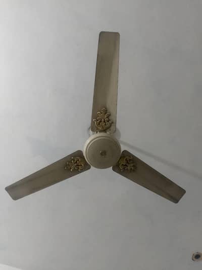 gfc and royal fan for sale hn.