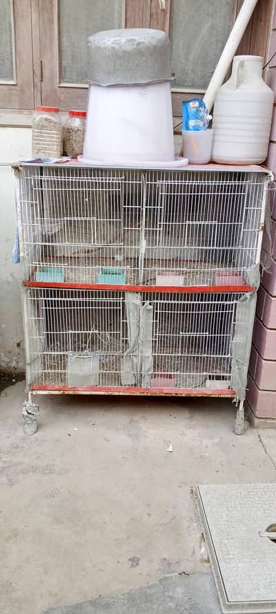 Iron Cage in Mint Condition