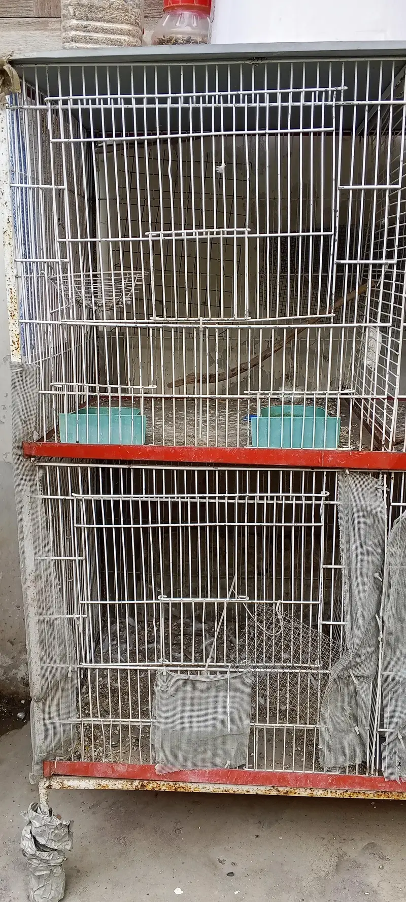 Iron Cage in Mint Condition — photo 2
