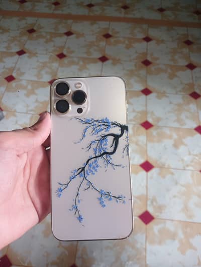 iphone 13 pro max  pta, approved