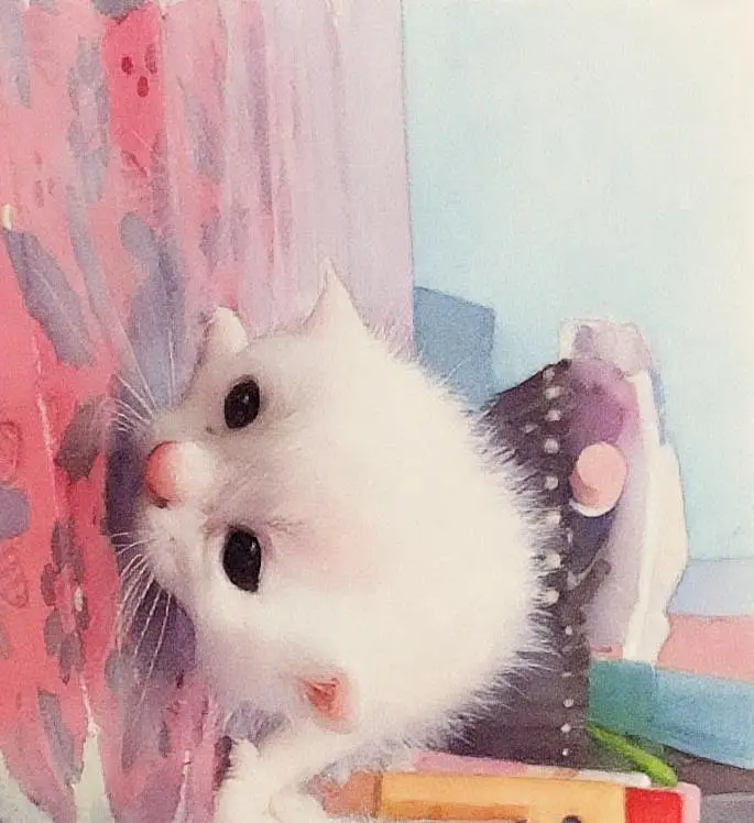 persion cats available — photo 3