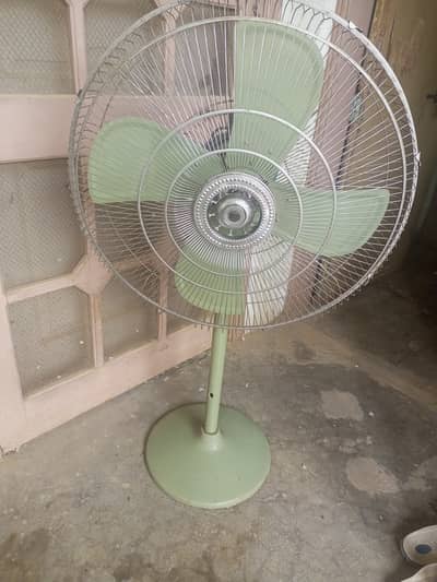 Younas fan