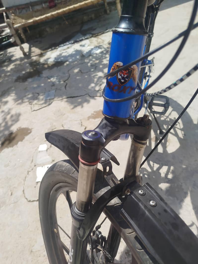 Roxy cycle 2