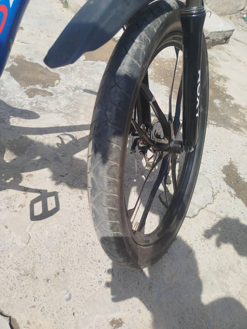 Roxy cycle 3