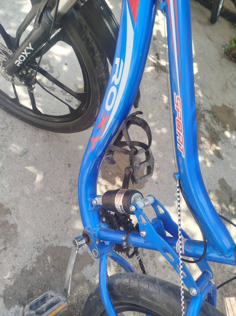 Roxy cycle 8