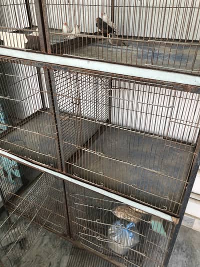 7 portion cage with 3 pair off finch