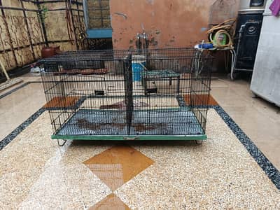 Pigeon Cages