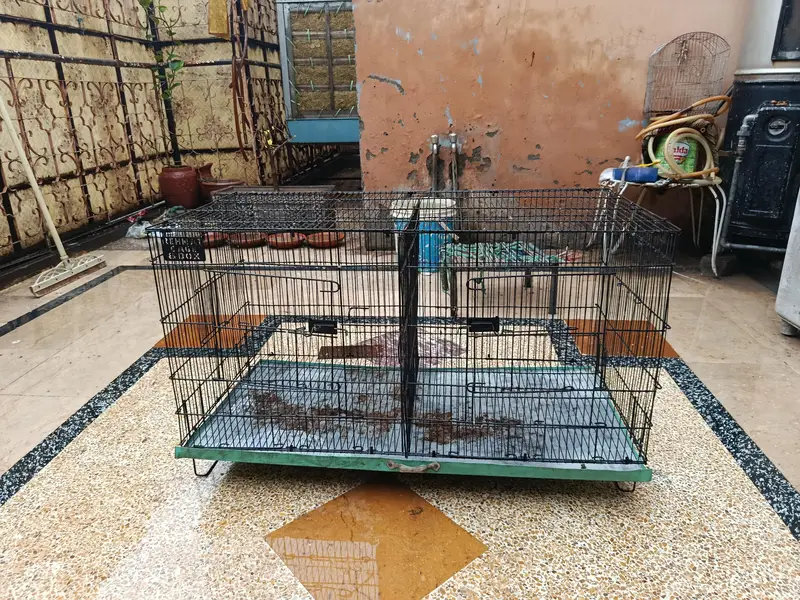 Pigeon Cages — photo 2