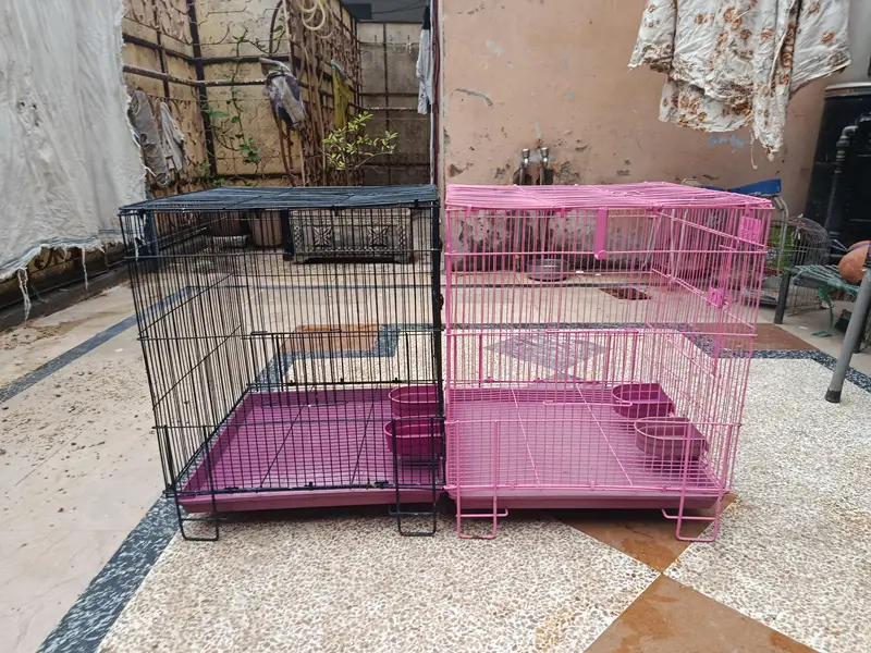 Pigeon Cages — photo 3