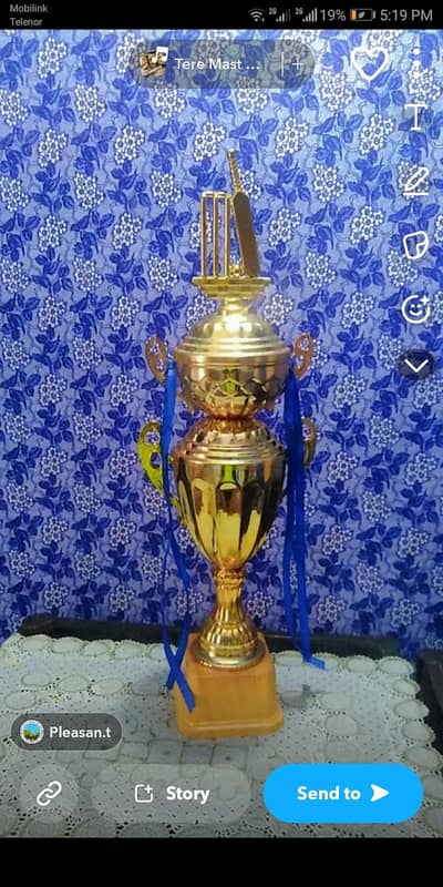 metal trophy cup