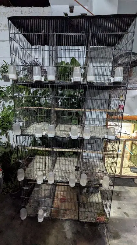cage for sale — photo 2