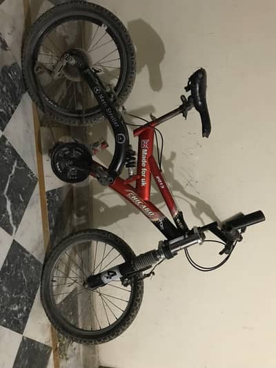 Chicago suspension bicycle