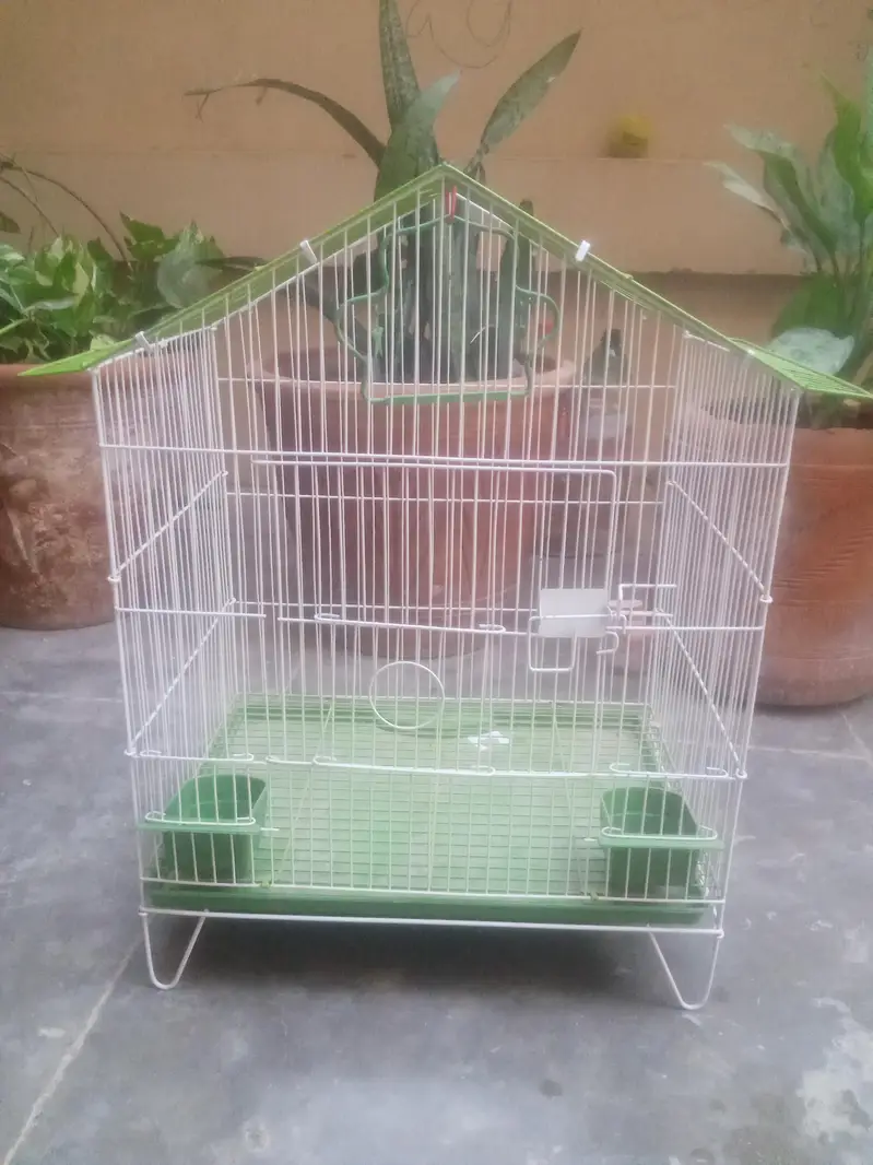 cage for sale