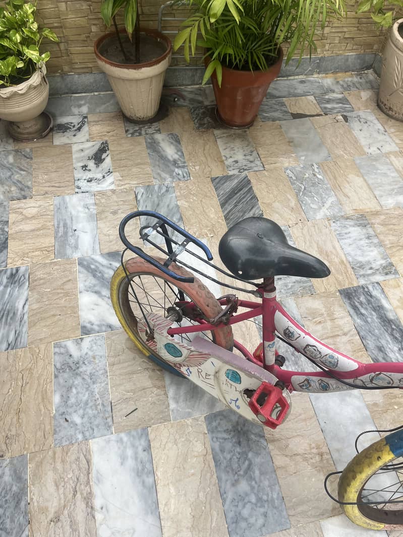 Pink Cycle 1
