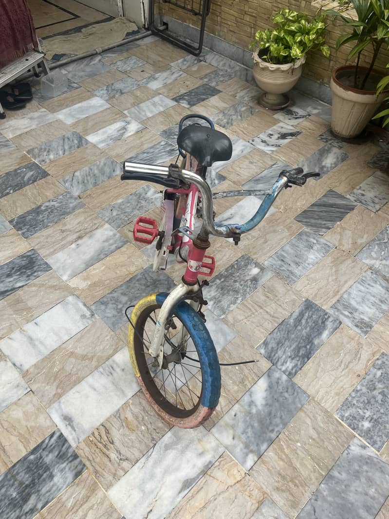 Pink Cycle 2