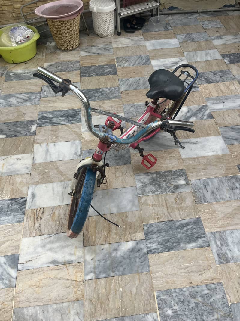 Pink Cycle 3