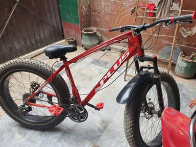 mountain Plus bicycle imported