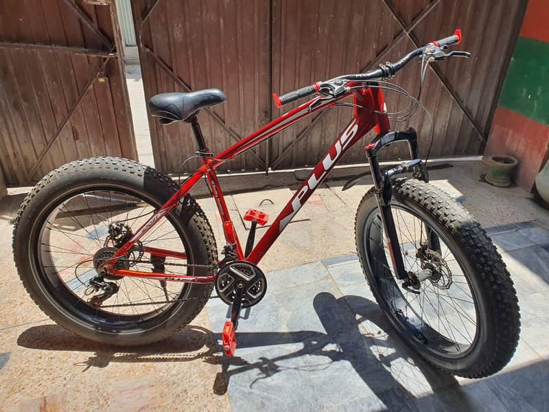 mountain Plus bicycle imported 1