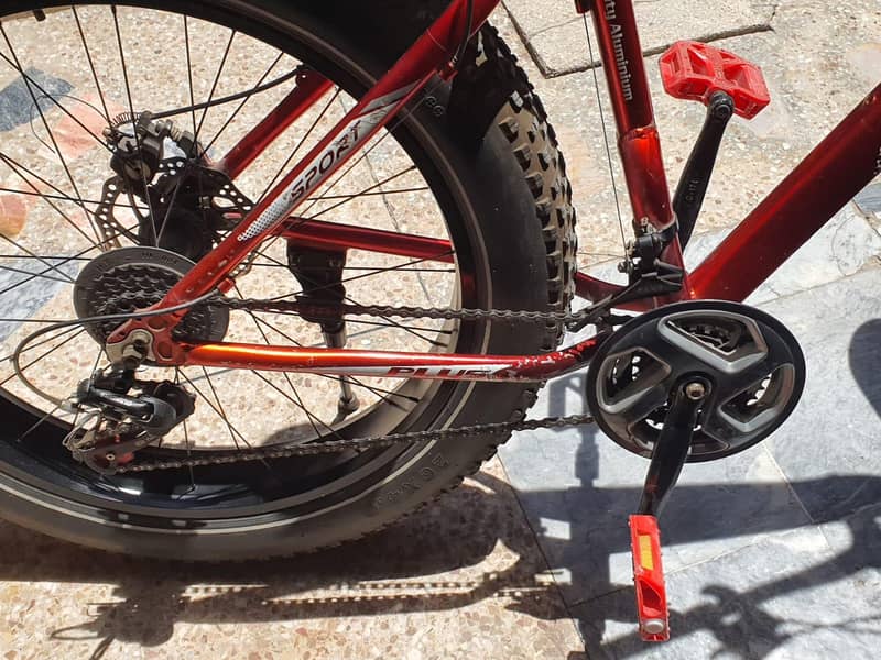 mountain Plus bicycle imported 4