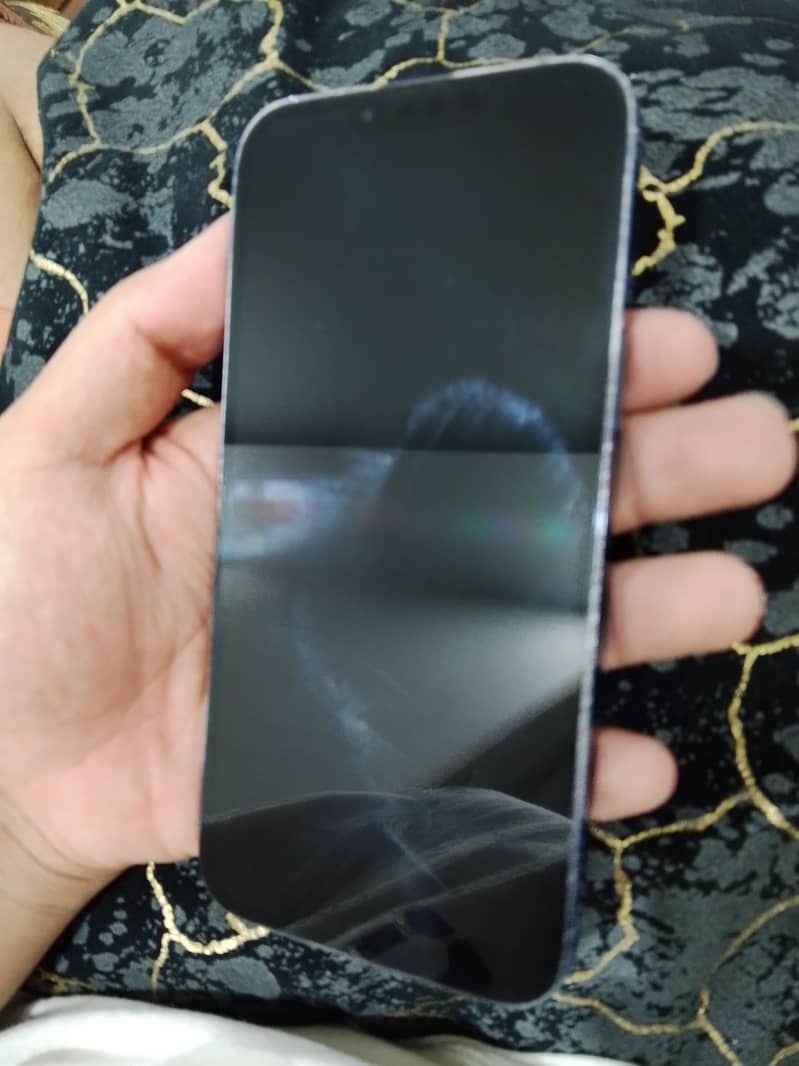 Apple iPhone 13 Pro Max 3