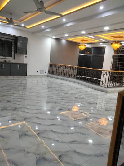 Kanal Designer house Available for Rent intellectual village phase 7
