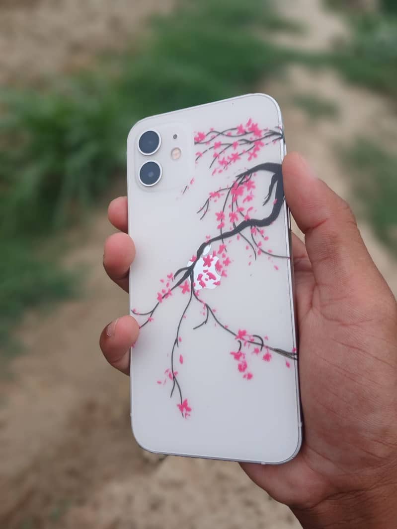 iPhone 12 6