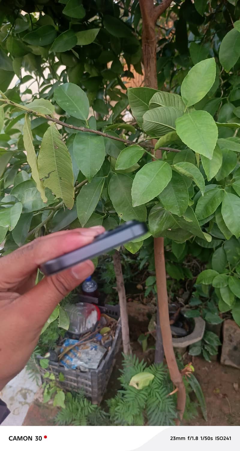 Apple iPhone 15 1