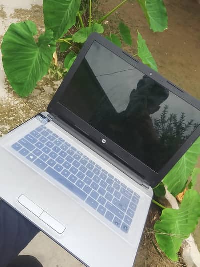 HP Laptop