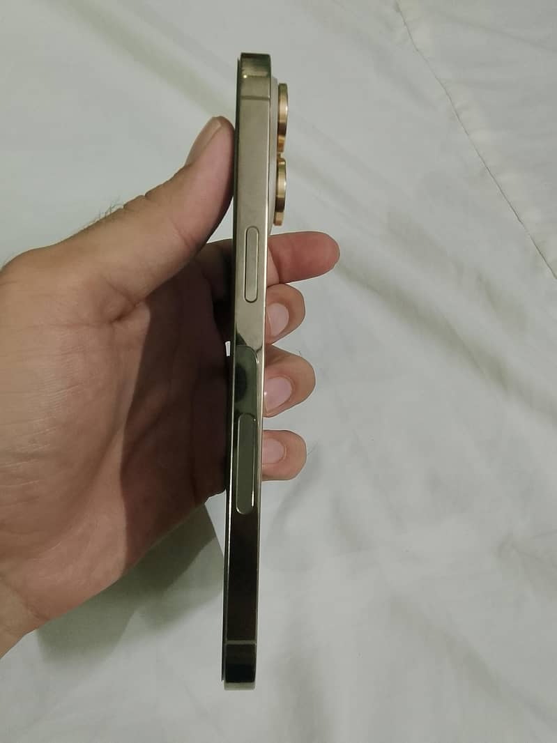 Apple iPhone 14 Pro Max 4