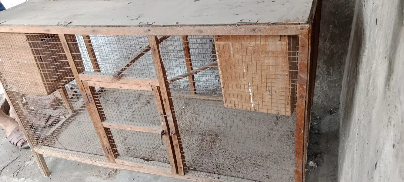 48x24x30 Inch Wooden Used Parrot cage with bulb outlet — photo 2