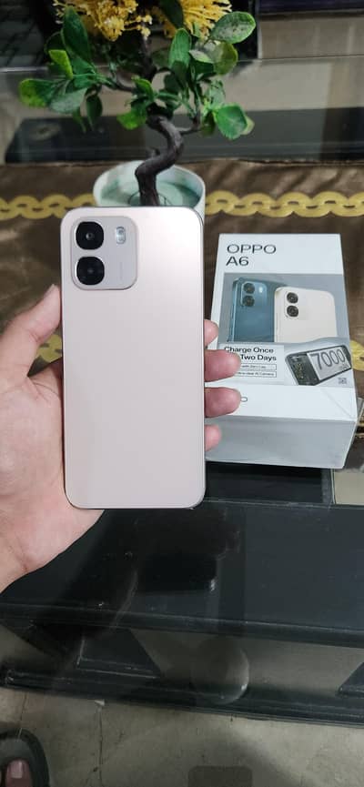 OPPO A6 5G 8/256