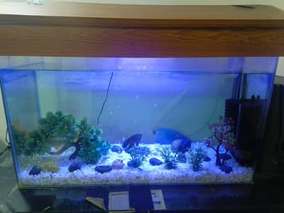 Aquarium
