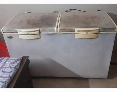 Waves Double door Freezer