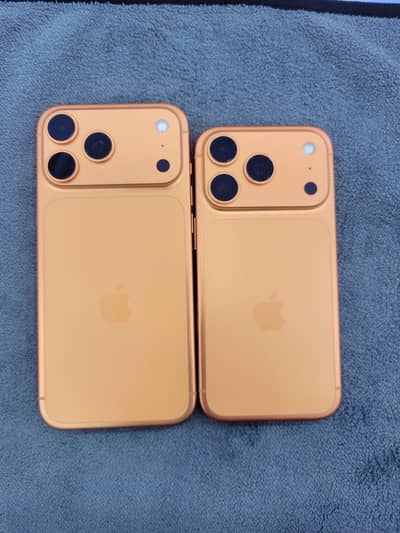 17 pro max and 17 pro