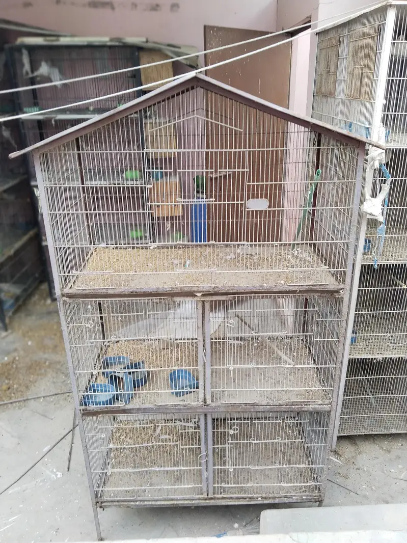 3 cages hai best prices rates pics pr likhy Hain time waste na krein — photo 4