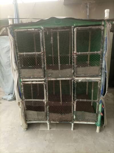 2 Story PVC Pipe Bird Cage | Wood Cage For Hens