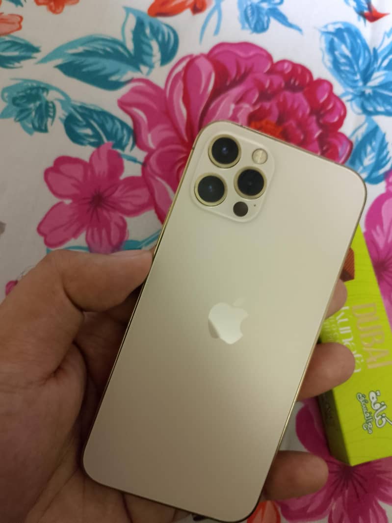 Apple iPhone 12 Pro 1