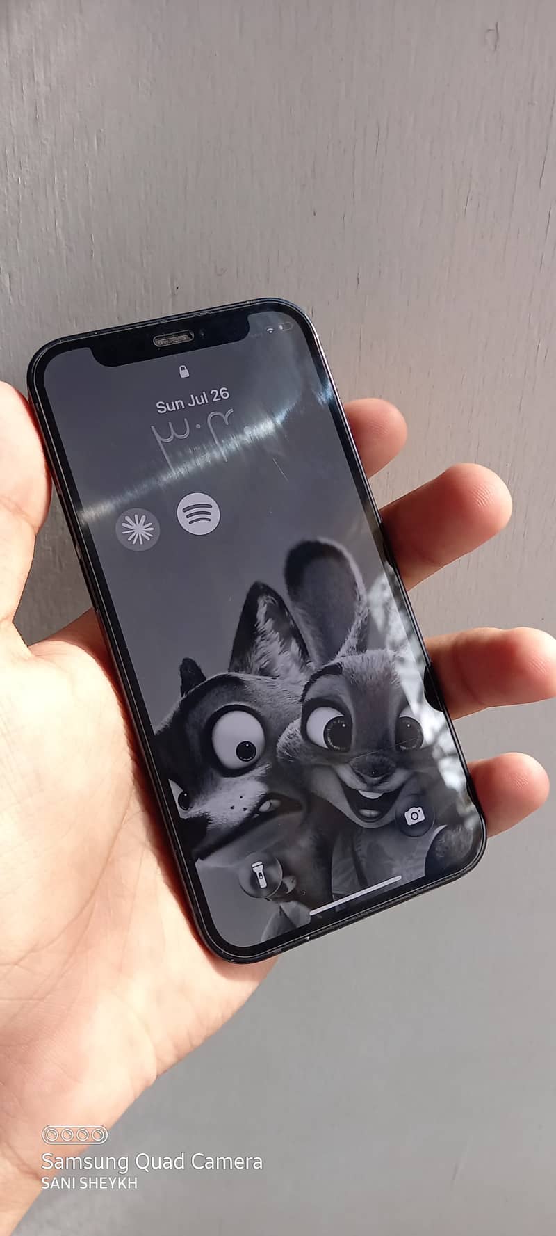 IPHONE 12 mini 1
