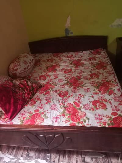 beds only no molty foam