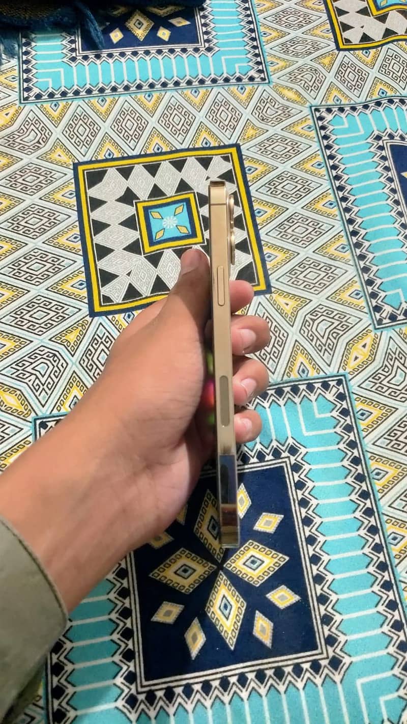 Apple iPhone 12 Pro Max 5