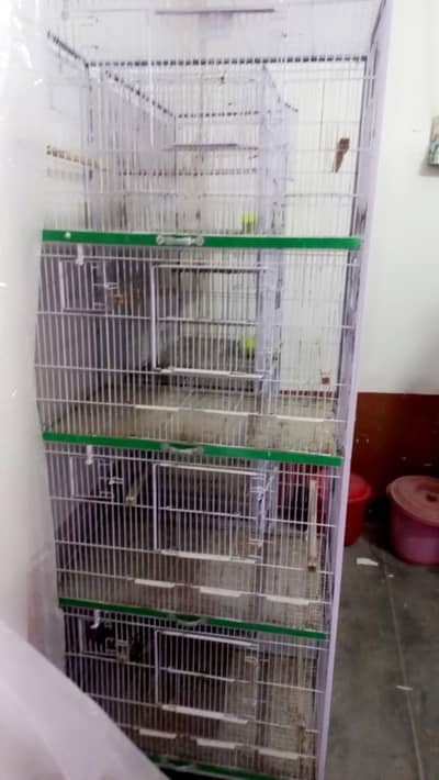 Birds cage